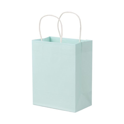 Mint Shopping Bag (Petite)