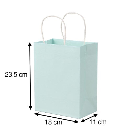 Mint Shopping Bag (Petite)