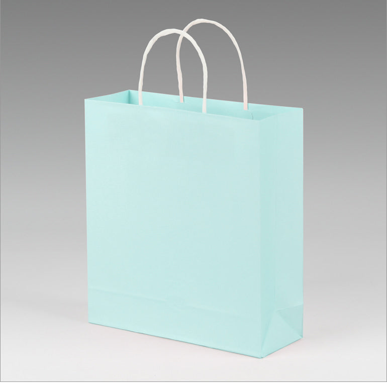 Mint Shopping Bag (Medium)